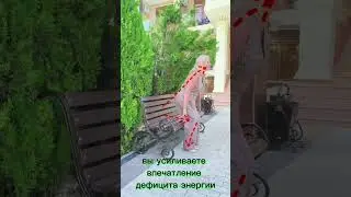 Как сесть, чтобы не добавить себе возраст ? 