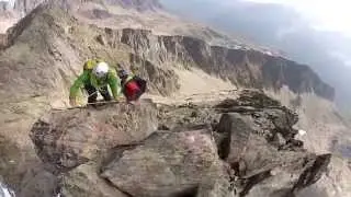 ZUB OBRA