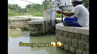 mancing nila di pintu air