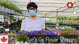 Spring Time Flower Shopping
