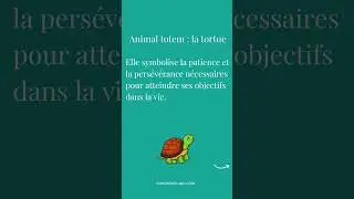 La Tortue comme animal totem ?