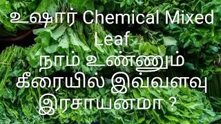 Chemical Added Leaf | இரசாயனக் கலவை கீரையை நாம் உண்கிறோம்???