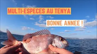 HAPPY NEW YEAR! TENYA release with SHRIMPS
