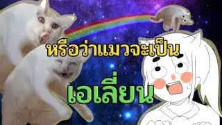 หรือว่าแมวจะเป็นเอเลี่ยน...