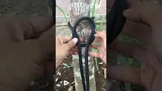 Amazing Knot in our daily life!  #knotskill #knot #knottutorial