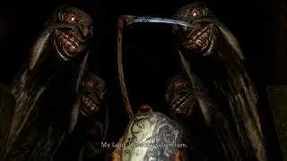 Dark souls daughters of ash. Босс 36. The Wolf Knight (без лечения)