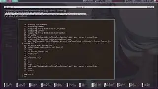 Kali linux 2019 how to install visual studio code kali linux