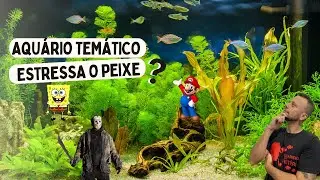AQUÁRIO COM BOB ESPONJA ??? ESTRESSA O PEIXE ??