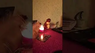 Что важно для Вас по мнению рода?🌳 #посланиерода #магическиепослания