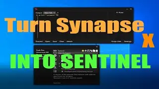 [TUTORIAL] How to turn Synapse X into Sentinel