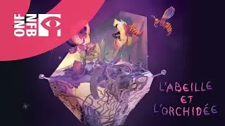 L’abeille et l’orchidée (vidéo 360º)