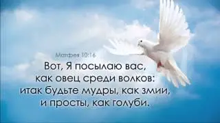 Не будьте дети умом