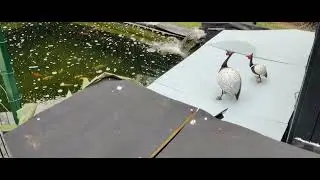 super mon bassin je l'adore