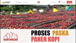 #CoffeeRoaster04 Proses Paska Panen Biji Kopi