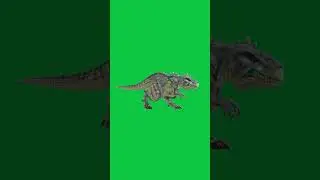 Dinosaur walking 3D green screen 