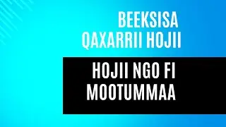 Beeksisa qaxarrii hojii | job recruitment announcement