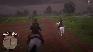 Dutch's horse lol (red dead redemption 2)
