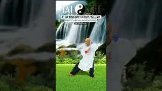 Tai Chi for Beginners: Start Your Journey Today