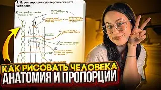 Как нарисовать человека — Все о пропорциях