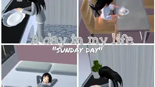 A DAY IN MY LIFE 