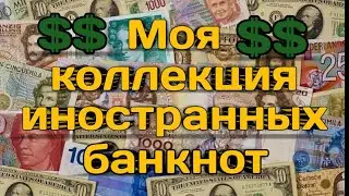 My collection of foreign banknotes.