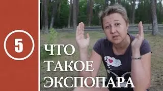 Урок #5. Что такое экспопара