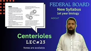 Centerioles | Centerioles structure and function | class 11