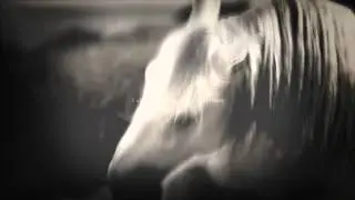 o ғ  d r e a м ѕ ✵