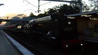 3567 + 3801 & 6029 | NSW Rail Museum Express