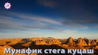 Мунафик стега куцаш