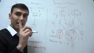 ГЕНЕТИКА КИСМИ 2