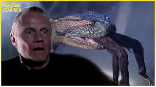 Anaconda Attacks By Night | Anaconda | Creature Features