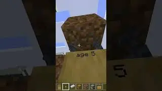 Minecraft houses at different ages #shorts #minecraft #minecraftmemes #minecraftshorts