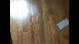R.I.P my phone