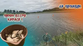 Наловил ведро карася. Клюет один за одним!