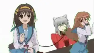 Crossover Randomness 2