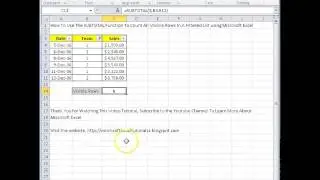00159 - How To Use The SUBTOTAL Function To Count All Visible Rows In A Filtered List using Microsof