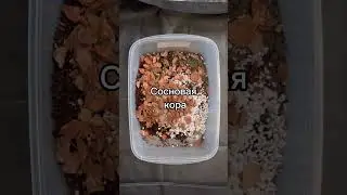 Грунт для алоказий✔️