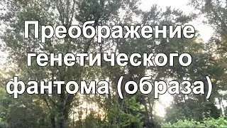 Преображение генетического фантома (образа)