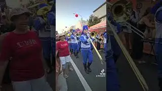 Celebration of Chinese Newyear | Dragon New year