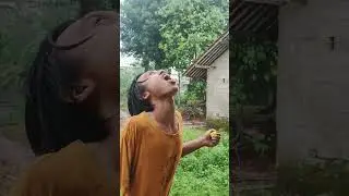 Because of the Rain