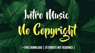 20 + Intro  Sound Music ||  Audio No Copyright || Attribution not required