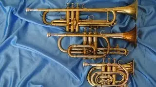 Comparison: Pocket Trumpet, Bb Trumpet and Cornet