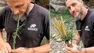 So baust du einen einfachen Fischspeer (Überleben auf einer Insel)
