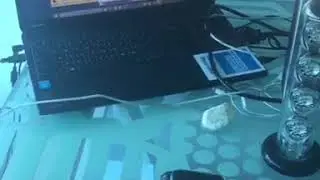 Bria / xlite incoming call to computer windows 10 free demo - Netphone online