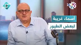 السفرد والشقراق.. أسماء غريبة للطيور l سيداتي سادتي