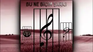 Bu Ne Biçim Şarkı?