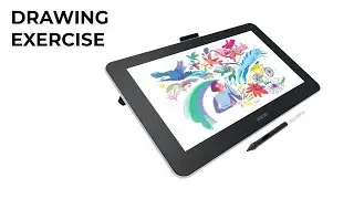Drawing Exercise Dengan Wacom One 13 Pen Display
