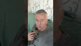 Тима практически не ест #котята #помощь