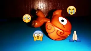 (LPS)  КАК ДОСТАТЬ МАСТЕРА?😂😱
